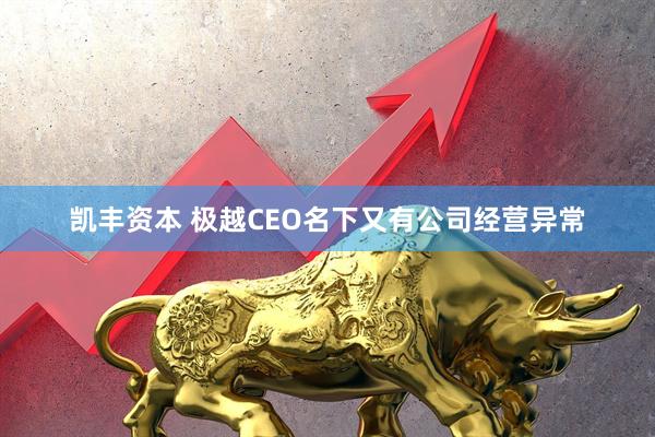 凯丰资本 极越CEO名下又有公司经营异常
