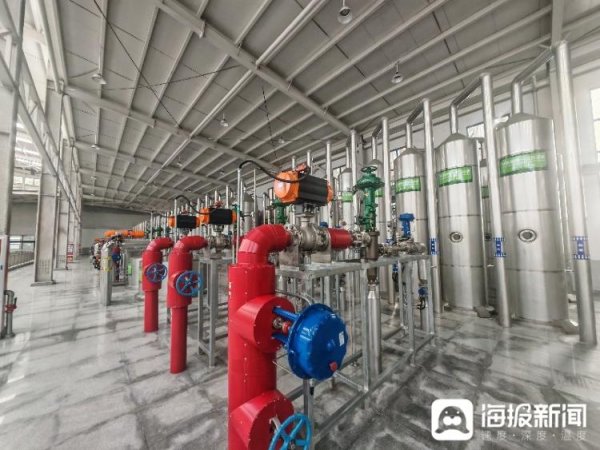 金多多配资 “双招双引”看山东丨一根玉米“淌”出黄金产业链